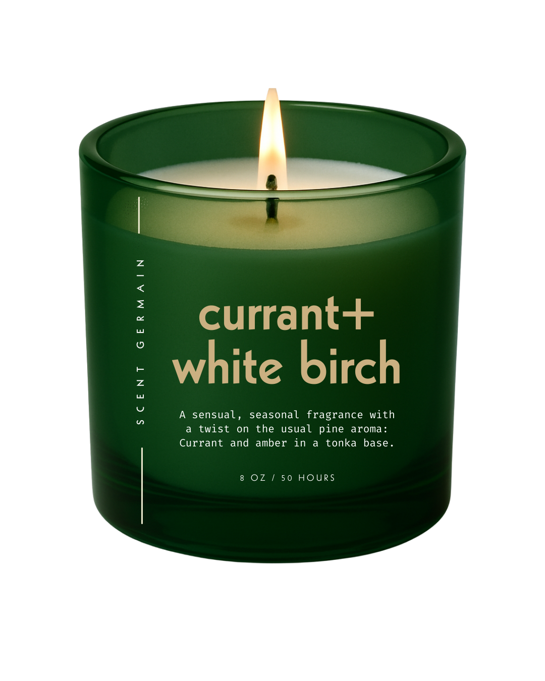 Currant + White Birch