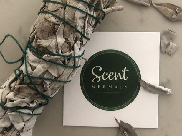 Sage + palo Santo